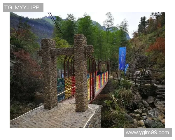 南京极限运动队与重庆极限运动队赛后分析实力对比与未来展望