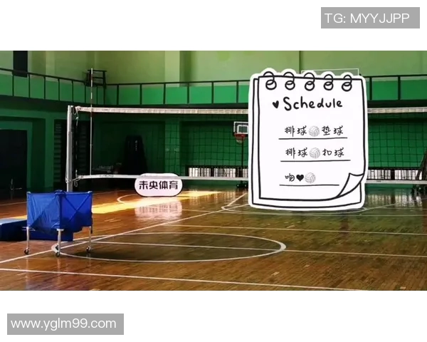 深圳排球队的耐力训练与比赛表现深度剖析